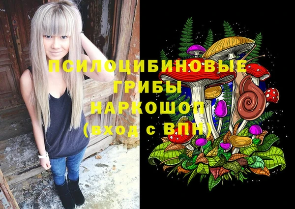 мдпв Белокуриха