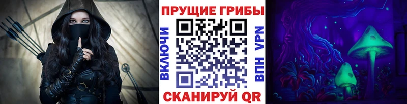 Галлюциногенные грибы Psilocybe  Первомайск 
